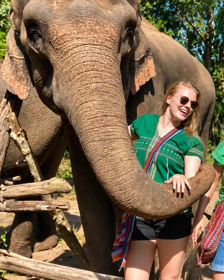 Full Day Experience – Hug Elephant Sanctuary