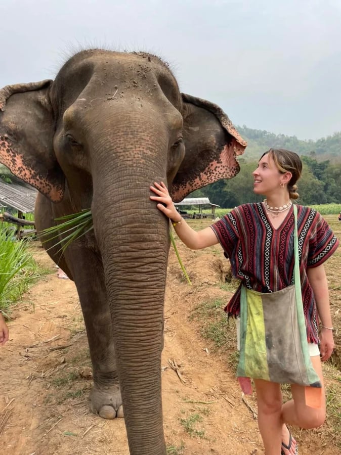 One Day Elephant Care+Waterfall+Bamboo Rafting