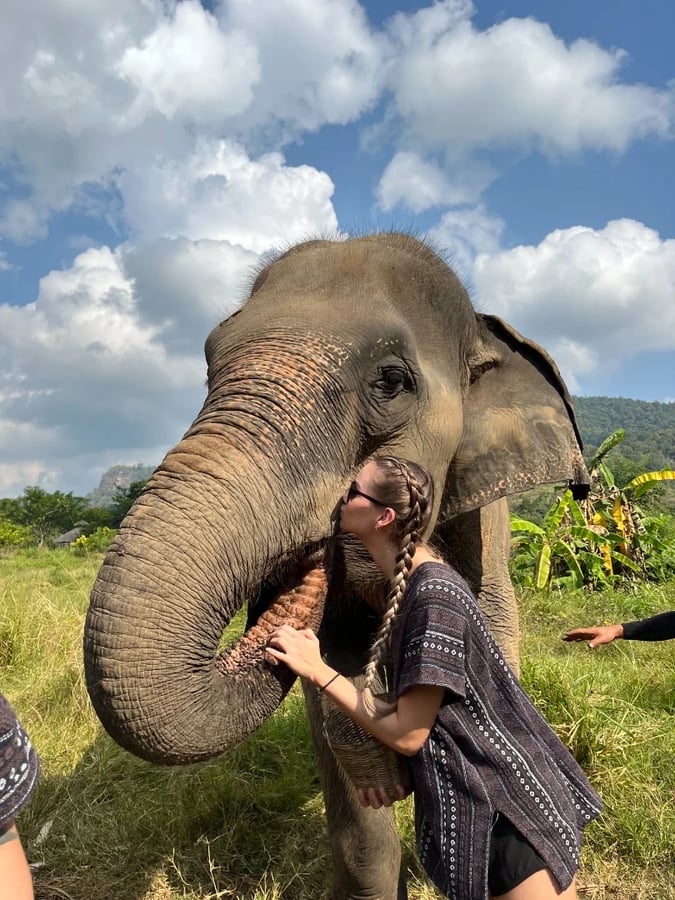 One Day Elephant Care + Waterfall – Chiangmai Elephant Legend