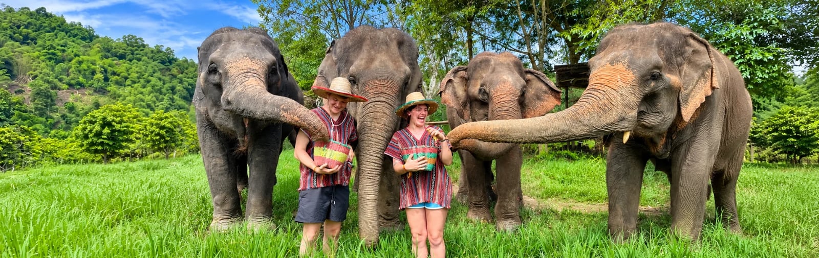 One Day Elephant Care+Waterfall+Bamboo Rafting