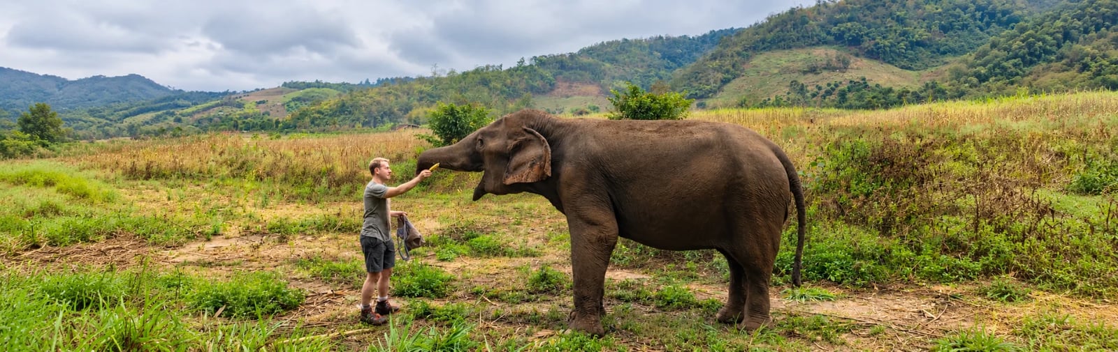 One Day Jungle Trek with Ethical Elephant Sanctuary and Bamboo Rafting
