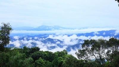 Event gallery image