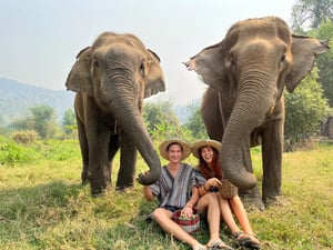 One Day Elephant Care + Waterfall – Chiangmai Elephant Legend